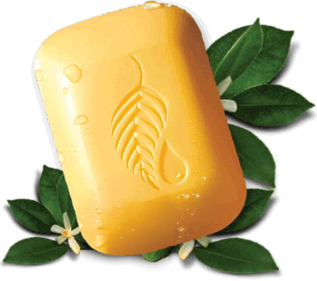 The Gold Bar