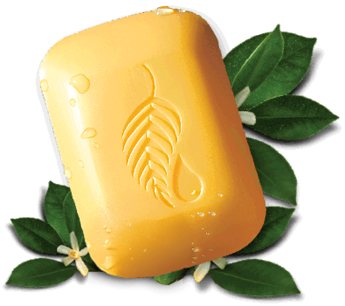 The Gold Bar